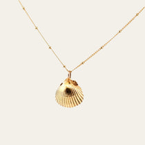 Gold Seashell Necklace - Dainty London