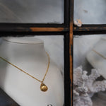 Gold Seashell Necklace - Dainty London