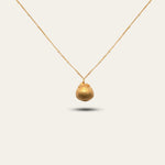 Gold Seashell Necklace - Dainty London