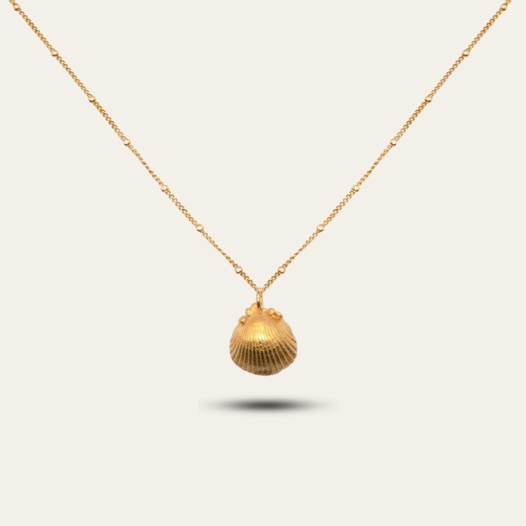 Gold Seashell Necklace - Dainty London