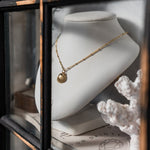 Gold Seashell Necklace - Dainty London