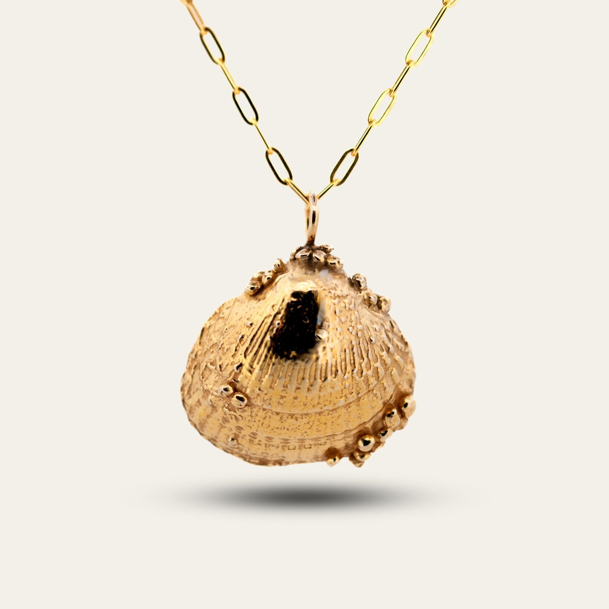 Large Gold Seashell Necklace - Dainty London