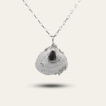 Large Seashell Necklace - Dainty London