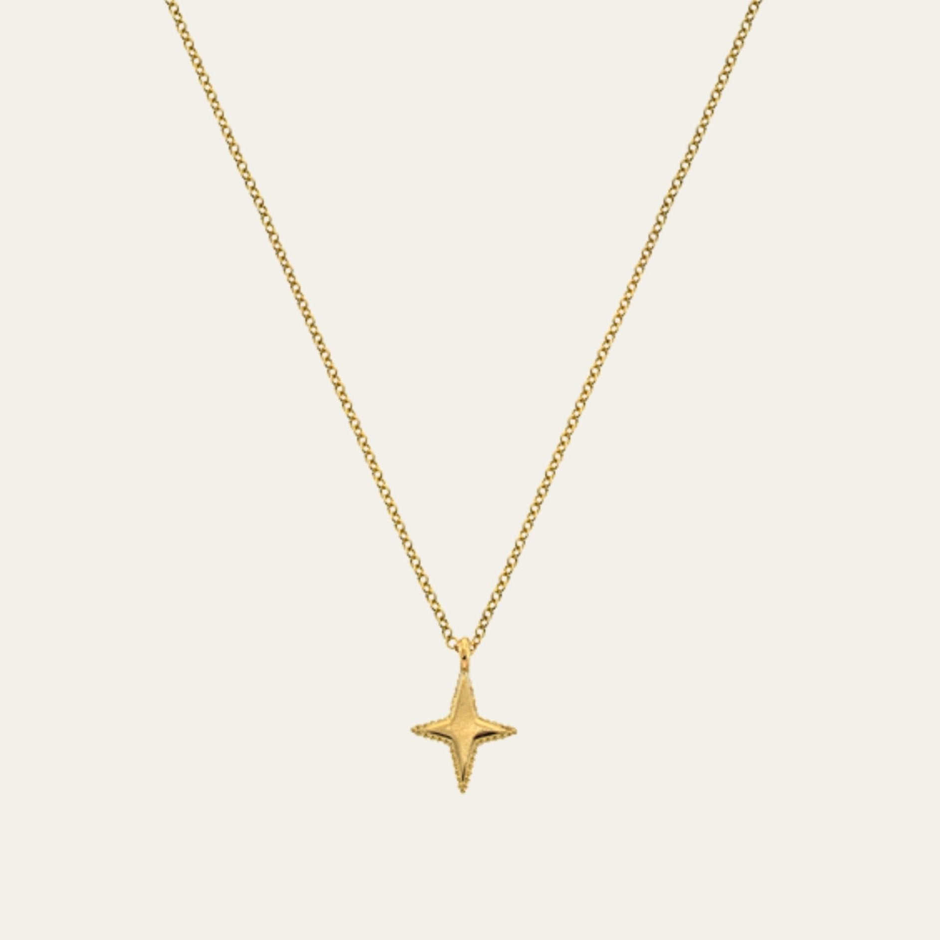 Limited Edition Gold Barnacle Star Necklace - Dainty London