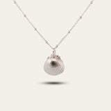 Silver Seashell Necklace - Dainty London