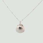 Silver Seashell Necklace - Dainty London