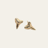 Solid 9ct Gold Fossilised Shark Tooth Studs - Dainty London