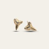 Solid 9ct Gold Fossilised Shark Tooth Studs - Dainty London