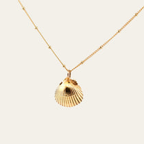 Solid Gold Seashell Necklace - Dainty London