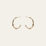 Solid Gold Walnut Twig Hoop Earrings - Dainty London