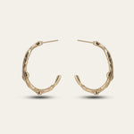 Solid Gold Walnut Twig Hoop Earrings - Dainty London