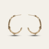 Solid Gold Walnut Twig Hoop Earrings - Dainty London